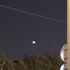 国产美女无遮挡免费视频
