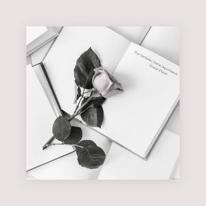 国产美女无遮挡免费视频
