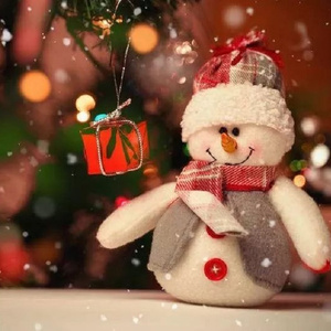 国产美女无遮挡免费视频
